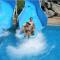 aquapark_6.jpg