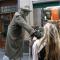 Belgie 20100005.jpg