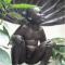 Belgie 20100008.jpg