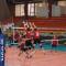 DSC04961.jpg