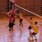 Zaver EX JRI Plzen  24.3.2012  16.jpg