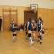Ml. zky 30.11.2013 005.jpg